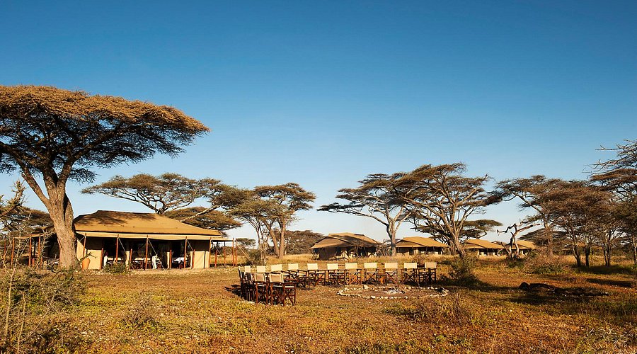 Ndutu Under Canvas 